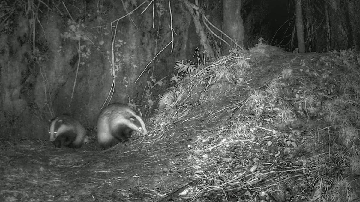 Ilargi betearekin batera, azkonar taldeak Legazpitik Zegamarako bidea egin zuen