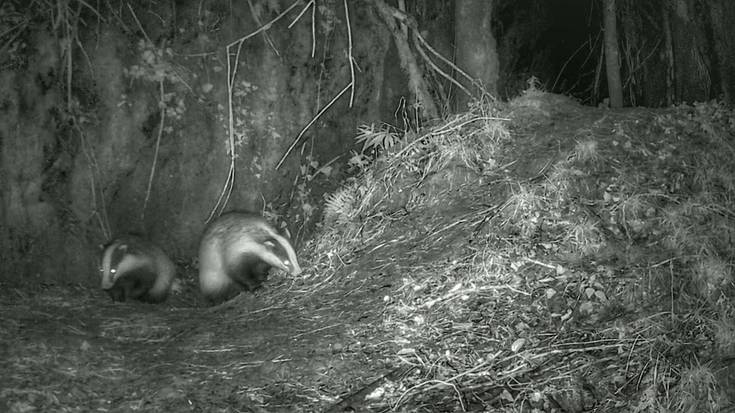 Ilargi betearekin batera, azkonar taldeak Legazpitik Zegamarako bidea egin zuen