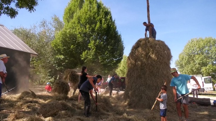 Oiangun belar-meta egin dute, euskal kulturaren ondarea belaunaldiz belaunaldi transmititzeko