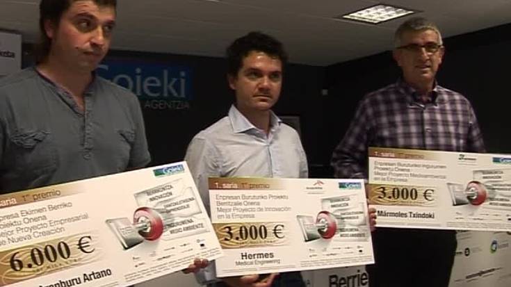 Goiekiren enpresa ekimen berrien sari ematea