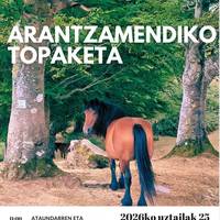 Arantzamendiko topaketa