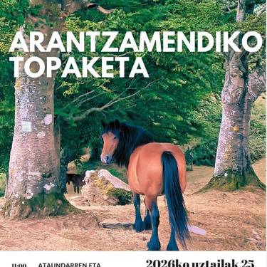 Arantzamendiko topaketa