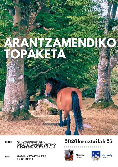 Arantzamendiko topaketa