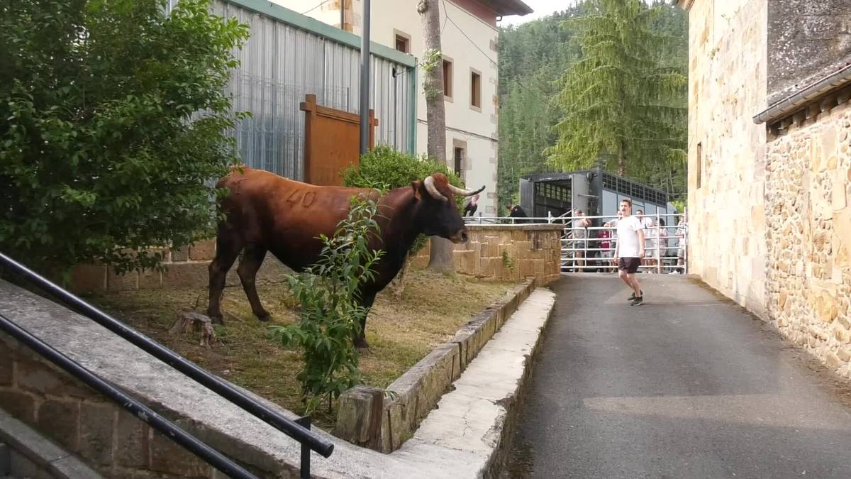 Bigantxek hartu zuten herriko plaza San Pedro jaietan