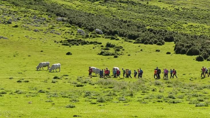 Hainbat ekintza prestatu zituzten Esnaurreta-Pikuetan Aralarko Natura parkearen eguna ospatzeko