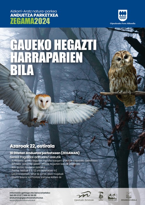 Gaueko hegazti harraparien bila