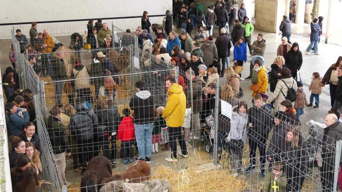 Gabonetarako azken erosketak festa giroan egin dira Ordizian