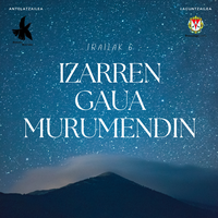 Izarren gaua