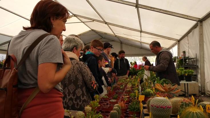 Udaberri giroa lore eta landare azokan