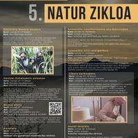 Ataungo 5. Natur Zikloa