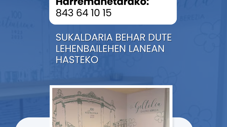 LAN ESKAINTZA: GELTOKIA