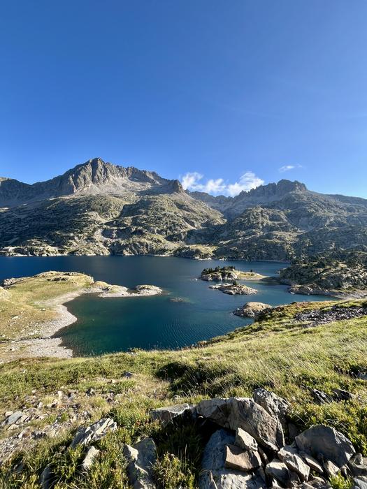 Pirineoak