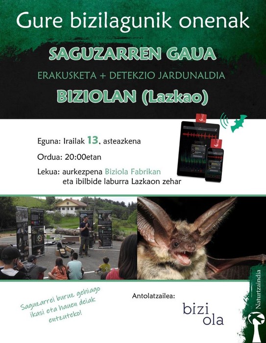Saguzarren Gaua