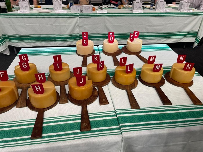 Ordiziako L. Gazta txapelketak baditu 14 sailkatu