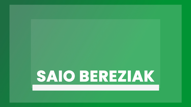 Saio Bereziak