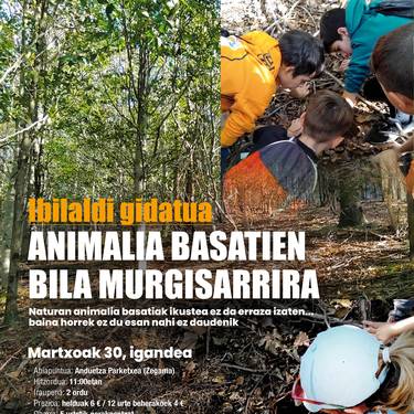 Animali basatien bila Murgisarrira