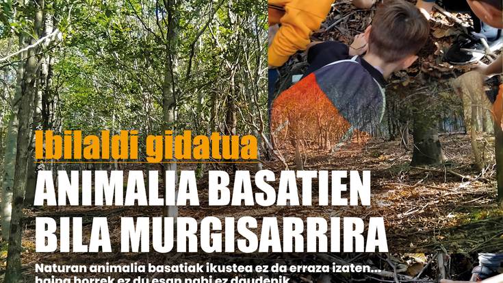 Animali basatien bila Murgisarrira