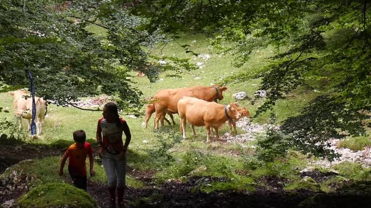 Zegama-Aizkorri orientazio proba jokatu zen Aizkorriko Parke Naturalean