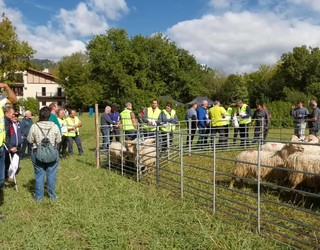 Oiangun egin dute Gaztaren Biltzarraren XI. edizioa