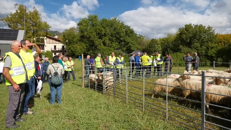 Oiangun egin dute Gaztaren Biltzarraren XI. edizioa
