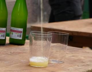 Sagardoa eta txistorra protagonistak Gabirian