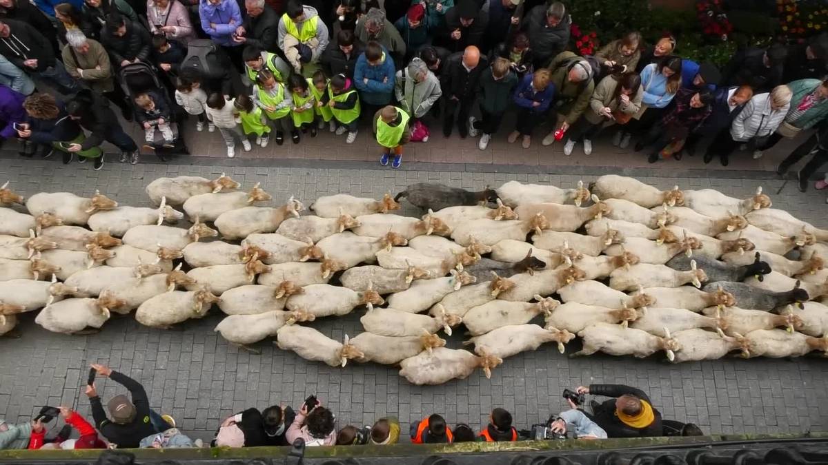 Datorren asteazkenean ospatuko dute Artzain Eguna Ordizian