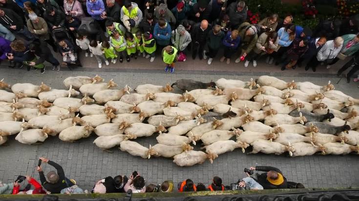 Datorren asteazkenean ospatuko dute Artzain Eguna Ordizian