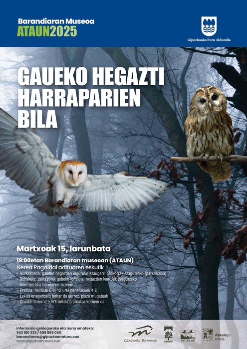 Gaueko hegazti harrapakarien bila