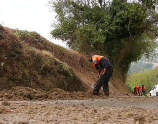 Landa-bide publikoetan matenu-lanak egiten ari da Ordiziako Udala