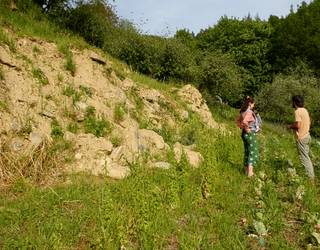 Euriteek eragindako Artzabaltza baserriko luzia konpontzeko Croudfunding-a zabaldu dute