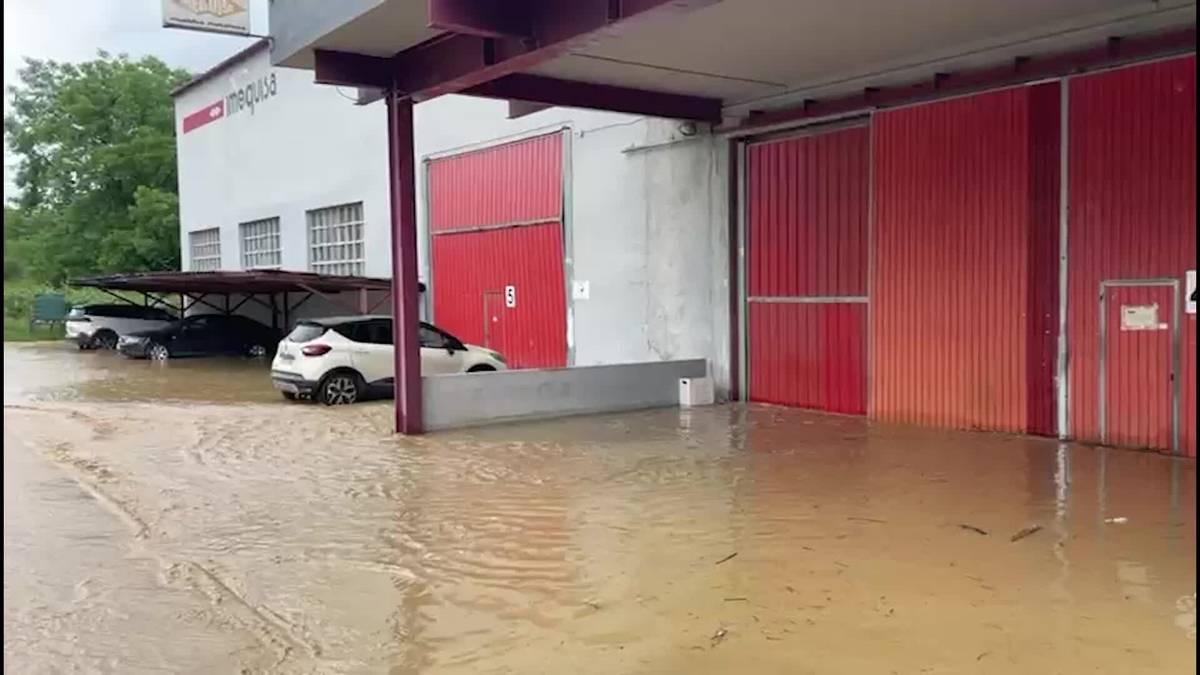 Imeguisa enpresaren kalteak euriaren ondorioz