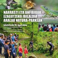 Narrasti eta anfibioak ezagutzeko ibilaldia Aralar natura-parkean
