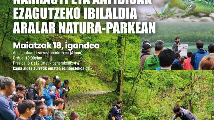 Narrasti eta anfibioak ezagutzeko ibilaldia Aralar natura-parkean
