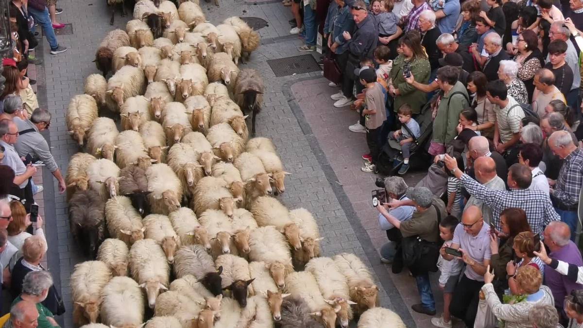 Giro ederrean, Ordizia artzaintzaren epizentro bihurtu da