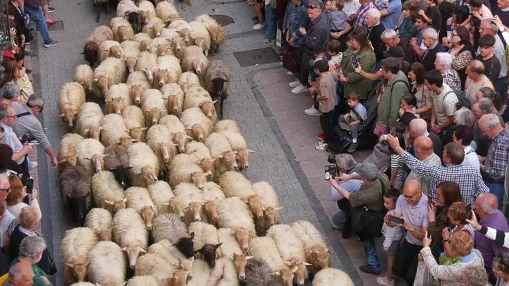 Giro ederrean, Ordizia artzaintzaren epizentro bihurtu da