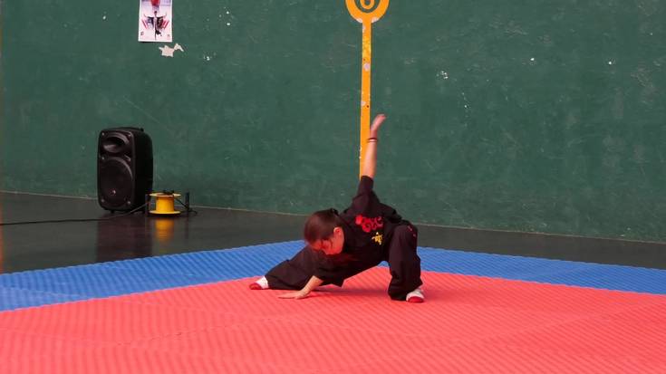 Wushu eta Kung Fu-ko txapelketa ospatu zen Antzizar polikiroldegian