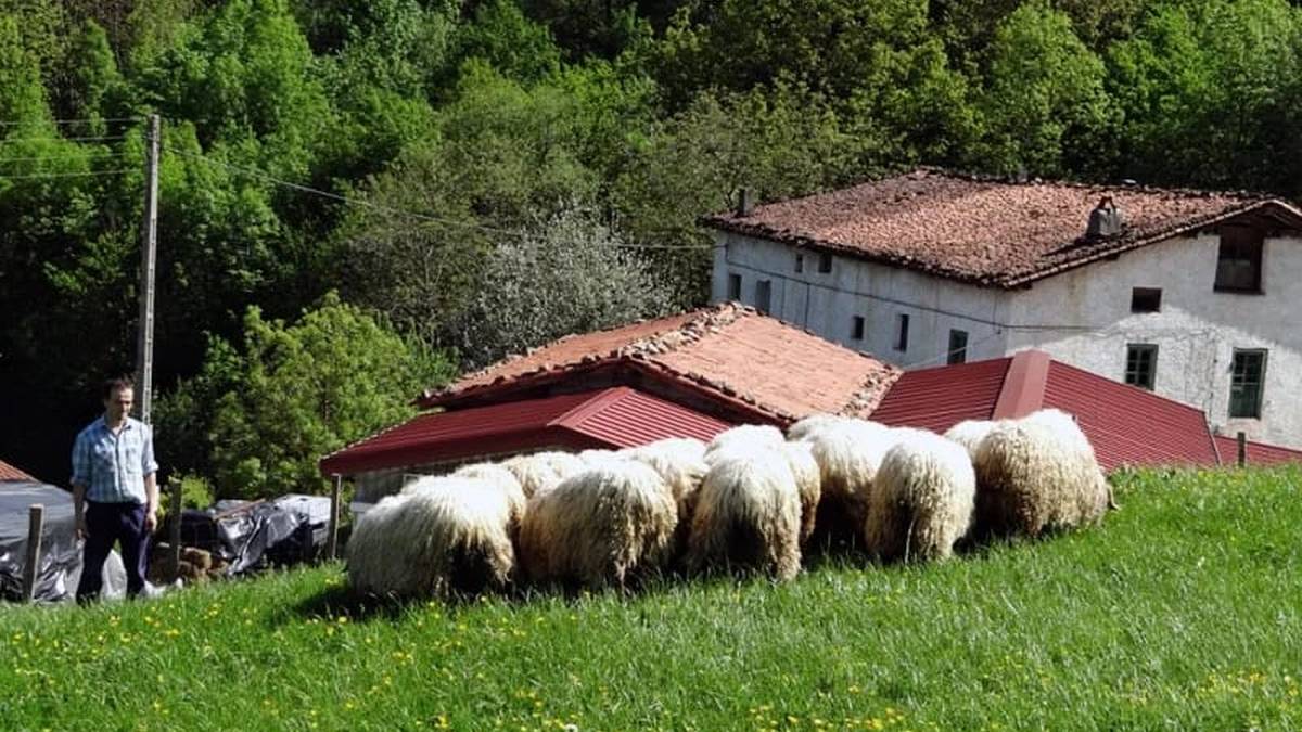 Gaztañaditxulo gaztandegira bisita