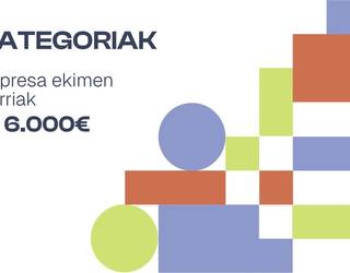 Goierriko Enpresa Ekimen Berrien XXIX. Sariketa
