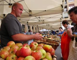 Euskal oiloak, fruituak eta barazkiak ere protagonista azokan