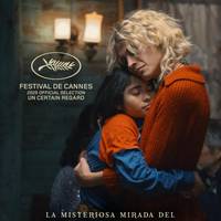 La misteriosa mirada del flamenco