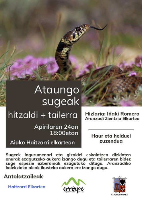 Ataungo sugeak hitzaldi + tailerra