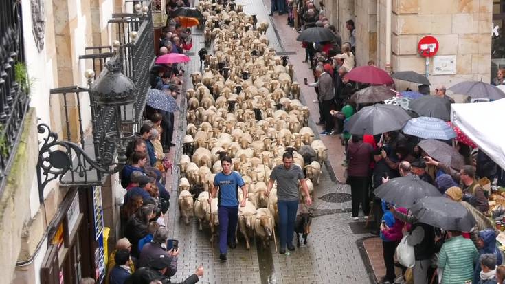 2000 ardi inguru igaro dira Ordiziatik Artzain eguna ospatzeko