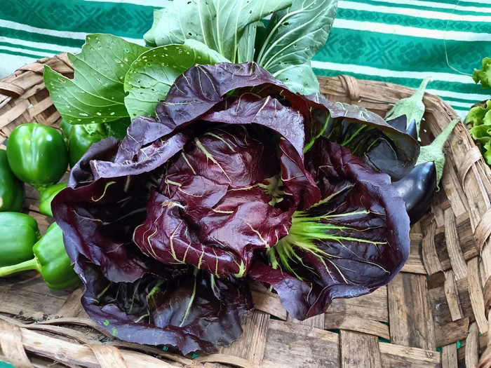 Ordiziako Azokako Salneurriak 2025.10.29