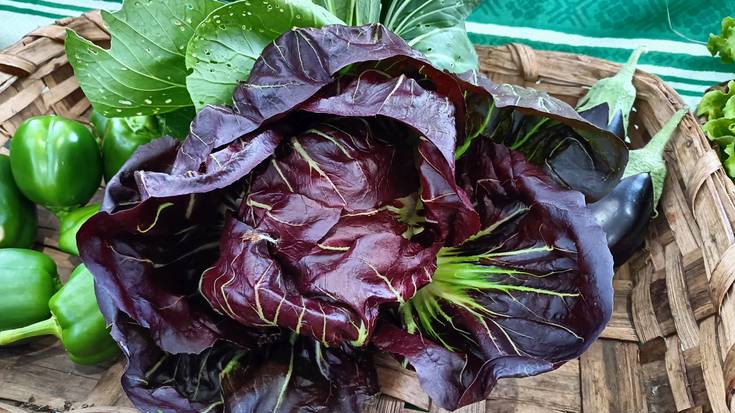 Ordiziako Azokako Salneurriak 2025.10.29