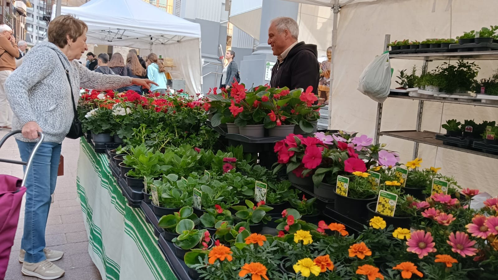 Ordiziako Azokako Salmenta 14.05.2025