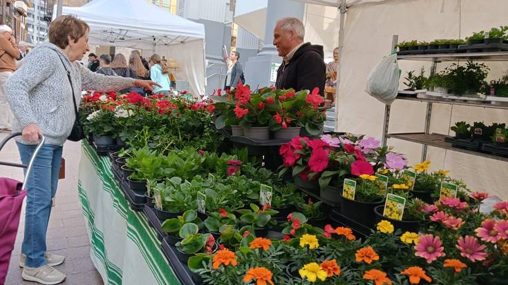 Ordiziako Azokako Salmenta 14.05.2025