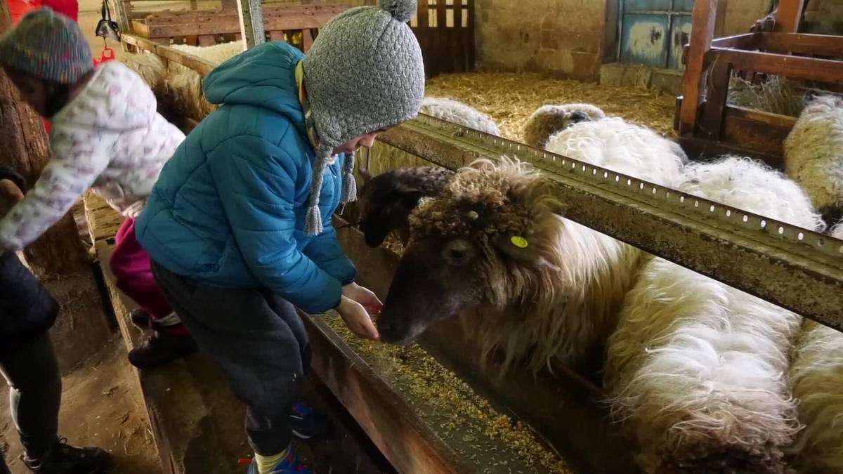 Gaztagintza eta arkumeen sekretuak ezagutzeko beste bisita bat antolatu du Anduetza Parketxeak
