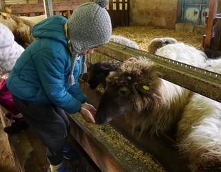 Gaztagintza eta arkumeen sekretuak ezagutzeko beste bisita bat antolatu du Anduetza Parketxeak