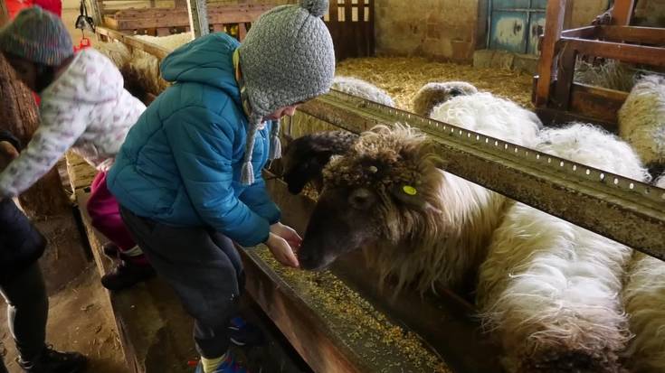 Gaztagintza eta arkumeen sekretuak ezagutzeko beste bisita bat antolatu du Anduetza Parketxeak