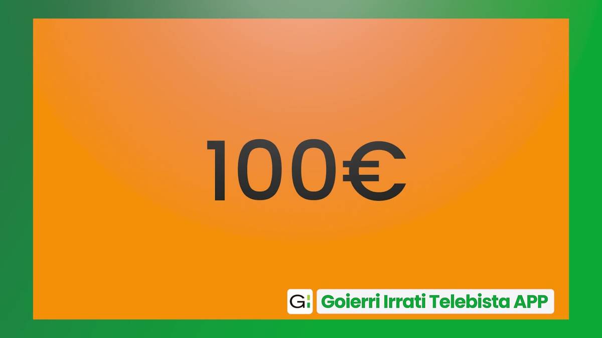 Bareak eskainitako 100 euroko balea